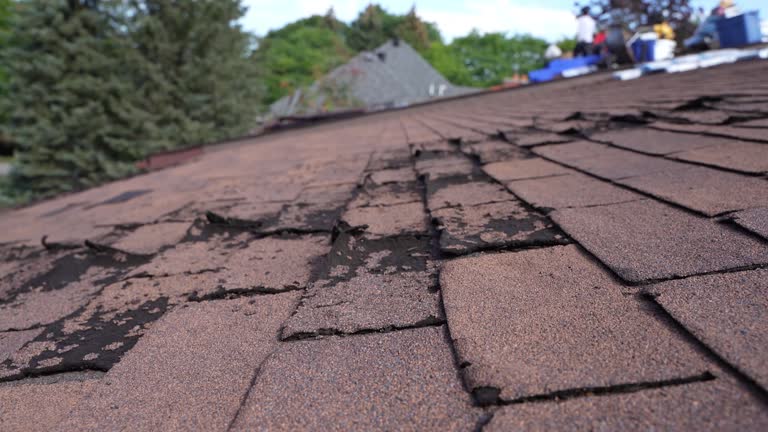 Best Tile Roofing Installation  in Forest Meadows, CA