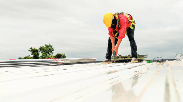 Best Roof Ventilation Installation  in Forest Meadows, CA