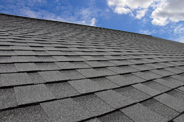 Best Roof Maintenance and Cleaning  in Forest Meadows, CA