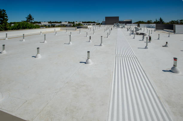 Best Hot Roofs  in Forest Meadows, CA